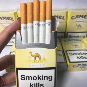 camel vàng