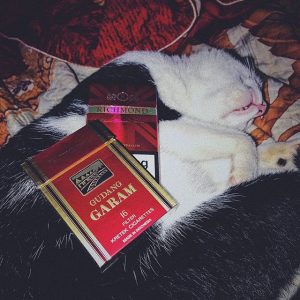 cigarette_gudang_garam