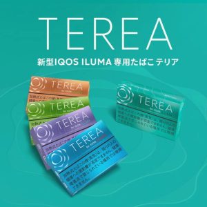Thuốc Lá Điện Tử TEREA Balanced Regular IQOS