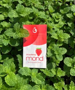 Alternative view of Mond Nho - Thuốc Lá Mond Hương Trái Cây